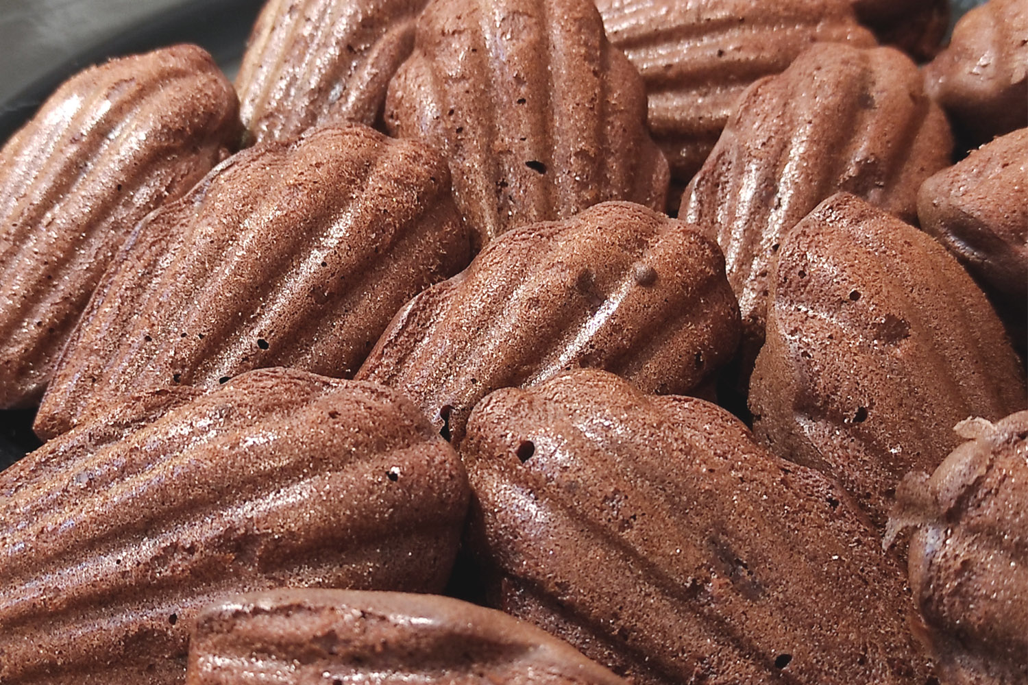 Petit Madeleine | Maddalene al Cioccolato